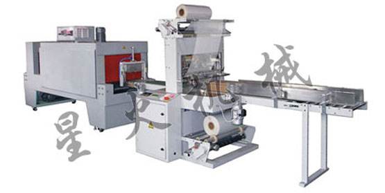 �����տs�C