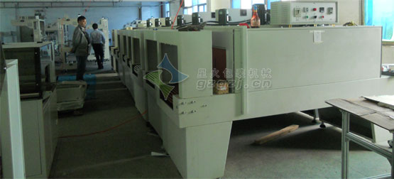 �����տs�C